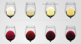 Tipos comunes de vino (las mejores variedades para conocer)