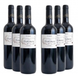 Información y fundamentos de los diferentes tipos de vino tinto