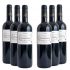 Malbec en el centro de atención