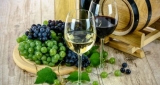 Vino para principiantes