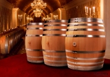 Construyendo una Bodega de Vino de Casa