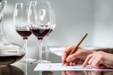 Cómo se cata el vino