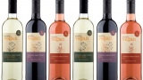Catálogo con vinos veganos más distribuidos exigidos de todo el mundo del año