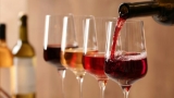 Guía de compra de vinos (tinto, blanco y rosado)