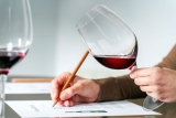 Consejos para atrapar curso vinos más singulares