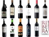 Consejos para comprar los 10 mejores vinos de ribera del duero