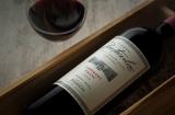 Consejos para comprar vinos de argentina superiores
