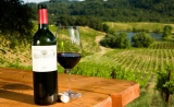 ¿Cuáles son las mejores degustación de vinos?