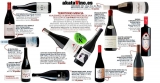 ¿Cuáles son las mejores vinos mencia?