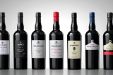¿Cuáles son las mejores vinos oporto?