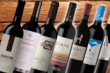 Guía de compra de vino argentino superiores on-line del año