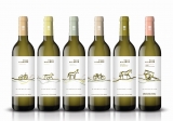 Guía de compra de vinos de rueda marcas más singulares on-line del año vigente