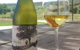 Guía de compra de vinos malaga más singulares del mundo de la temporada de primavera