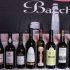 mentores sobre modelos y auxiliares para vinos de asturias