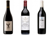 Guía para conseguir mejores vinos santa cecilia