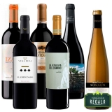 Guía para conseguir superiores vinos de coleccion