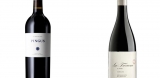 Guías sobre modelos que marcan tendencia: Todo sobre los mejores vinos españoles