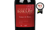Guías sobre modelos que marcan tendencia: Todo sobre vino campo de borja