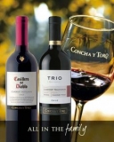 Guías sobre productos que están marcando tendencia: Todo sobre vinos marcas
