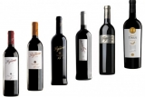 Guías sobre referencias que están marcando tendencia: Todo sobre vino figuero
