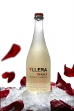 Guías sobre referencias que marcan tendencia: Todo sobre vinos yllera