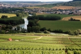 Por qué Francia sigue siendo uno de los mejores destinos para el vino