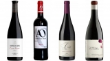 Mejores mejores vinos del bierzo por menos de 30 euros
