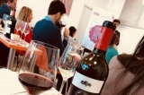 Mejores modelos vinos de españa on-line