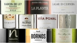 Mejores opciones vinos por menos de 10 euros online del año