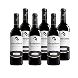 Mejores versiones vinos de somontano de internet del viernes negro
