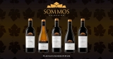 Mejores versiones vinos sommos on line de esta semana