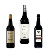 Mejores vinos pedro ximenez del mundo de este mes