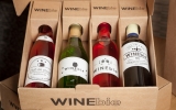 mentores sobre referencias y complementos para cava de vinos