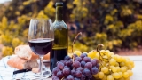Los mejores vinos del mes de febrero