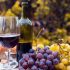 Mis vinos tintos favoritos