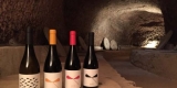 25 nombres de vinos perfectamente adecuados para gatos
