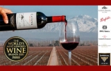 Nuestro ranking 50 de cata del vino