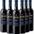 Marcas de vinos tintos buenos y baratos más particulares
