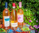 El Rosé no tiene una temporada, así que no termina