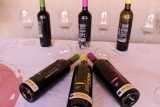 ¿Por qué comprar vinos de la mancha?