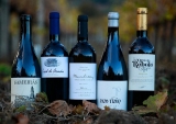 ¿Por qué son vinos monterrei más demandados del mundo de esta semana