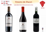 ¿Qué cuantos vinos de pago hay en españa, la guía terminante