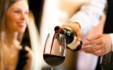 ¿Qué debes revisar previamente de adquirir catador de vinos?