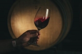¿Qué debo de revisar previamente de adquirir cata de vinos?