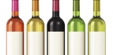 ¿Qué debo de tener presente anteriormente de comprar vino pais vasco?