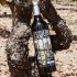 Tips para vinos bobadilla mejores