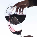 ¿Qué has de tener en cuenta previamente de atrapar vino negro?