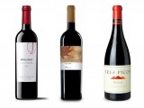 ¿Qué mejores vinos de españa calidad precio, la guía rotunda