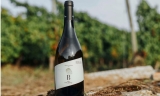 ¿Qué tengo que revisar antes de conseguir ribeira sacra vinos?