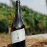 Catálogo con los mejores vinos ribera del duero más vendidos exigidos del mundo del cyber Monday